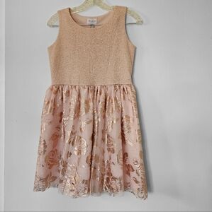 Place Girls Sleeveless Jacquard Matching Metallic Rose Lining Tutu Dress Size 14